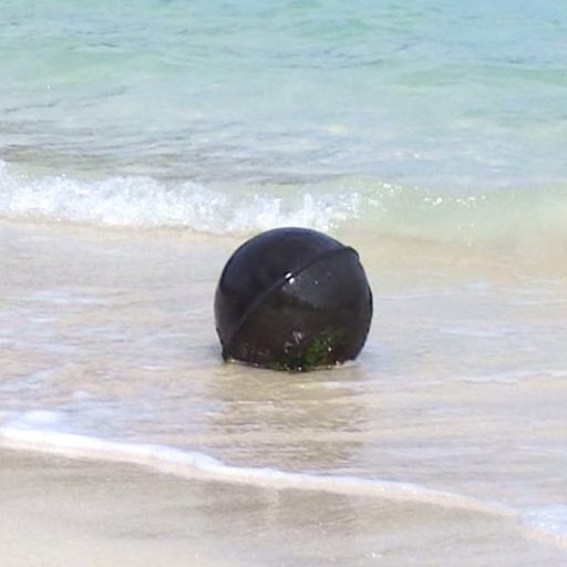 沖縄県の海ごみ教材用素材集 作成中 黒潮クリーンアップ