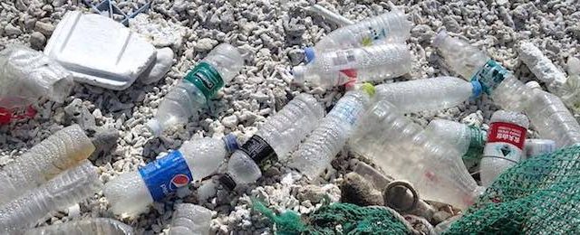 海洋プラスチック汚染