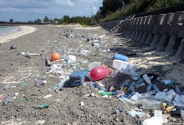 プラスチック汚染を終わらせるための決議
